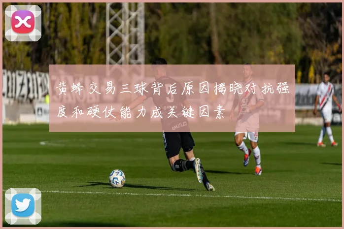 黄蜂交易三球背后原因揭晓对抗强度和硬仗能力成关键因素