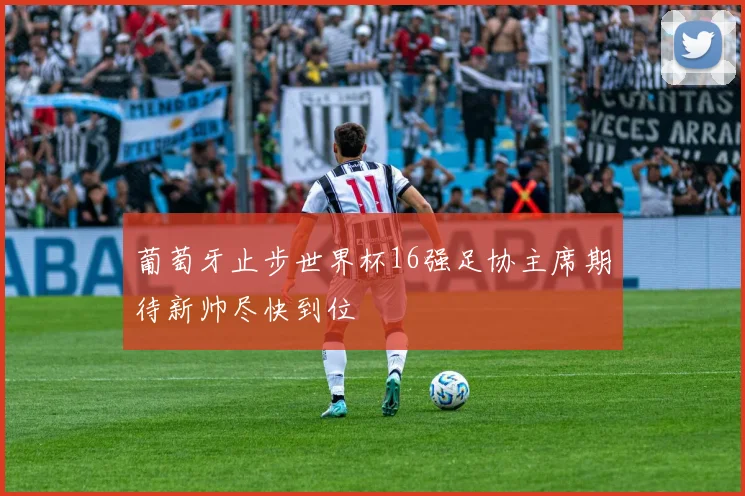 葡萄牙止步世界杯16强足协主席期待新帅尽快到位